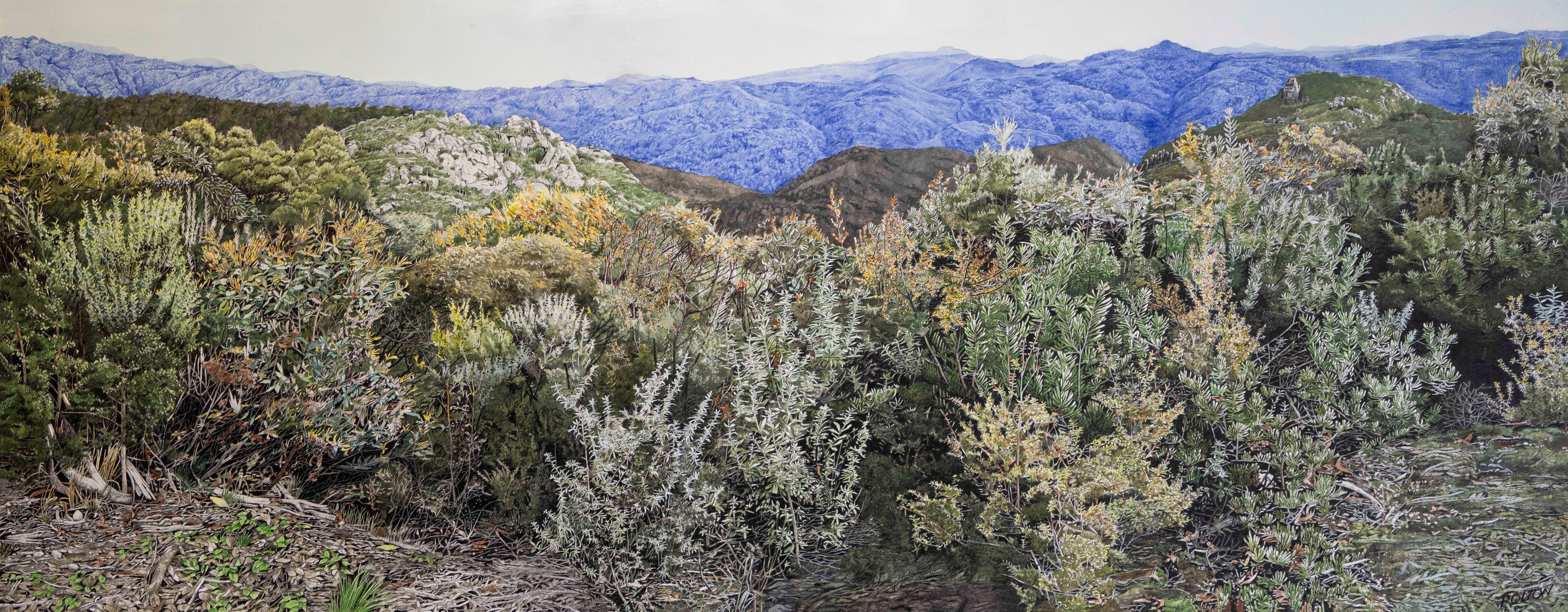 The Tasmanian High Country by Phillip Rolton | Clayton Utz Art Award 2024 Finalists | Lethbridge Gallery