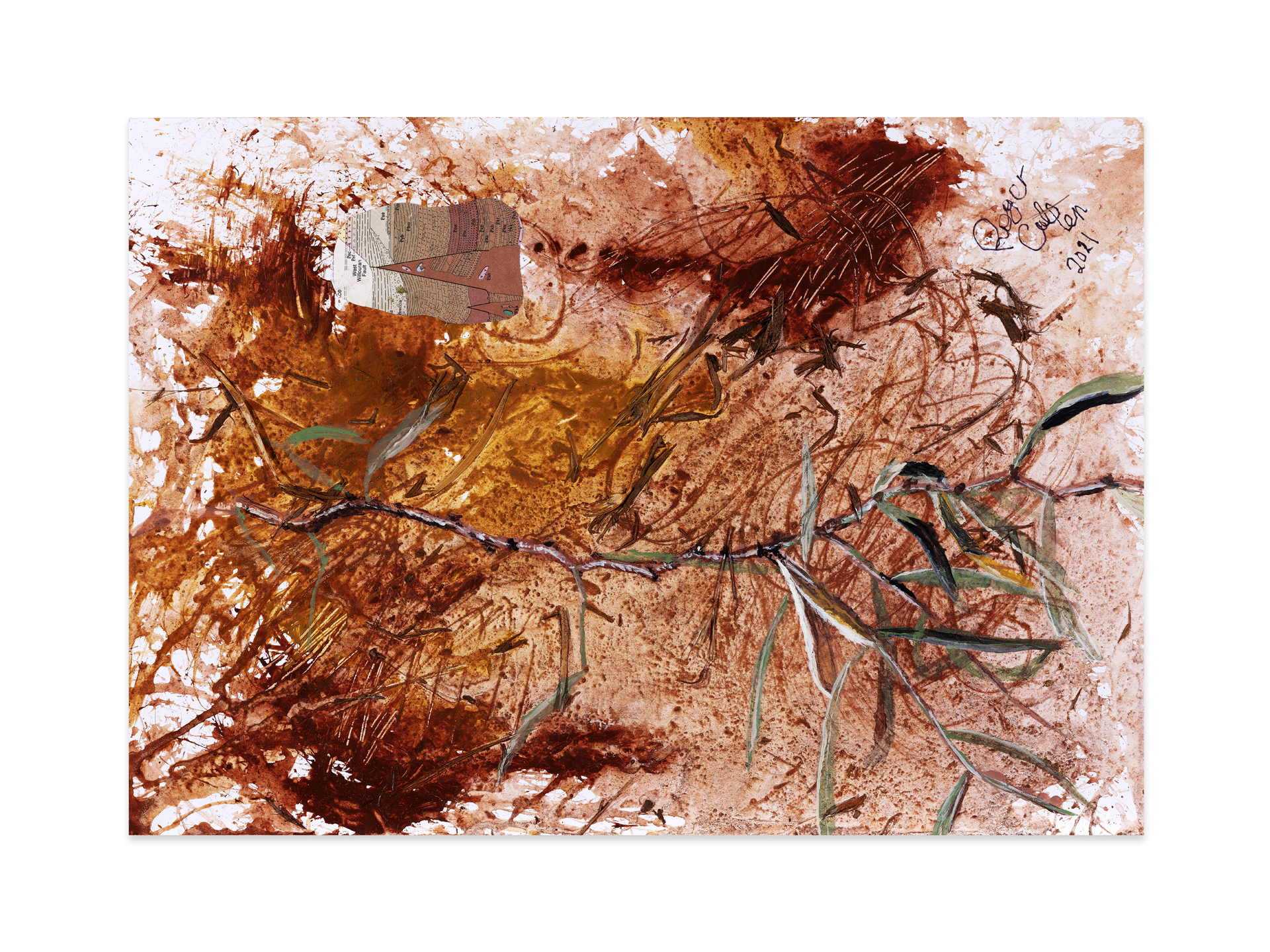 LAKE BINDAGOLLY - Atalaya hemiglauca by Roger A Callen | Lethbridge 20000 2022 Finalists | Lethbridge Gallery