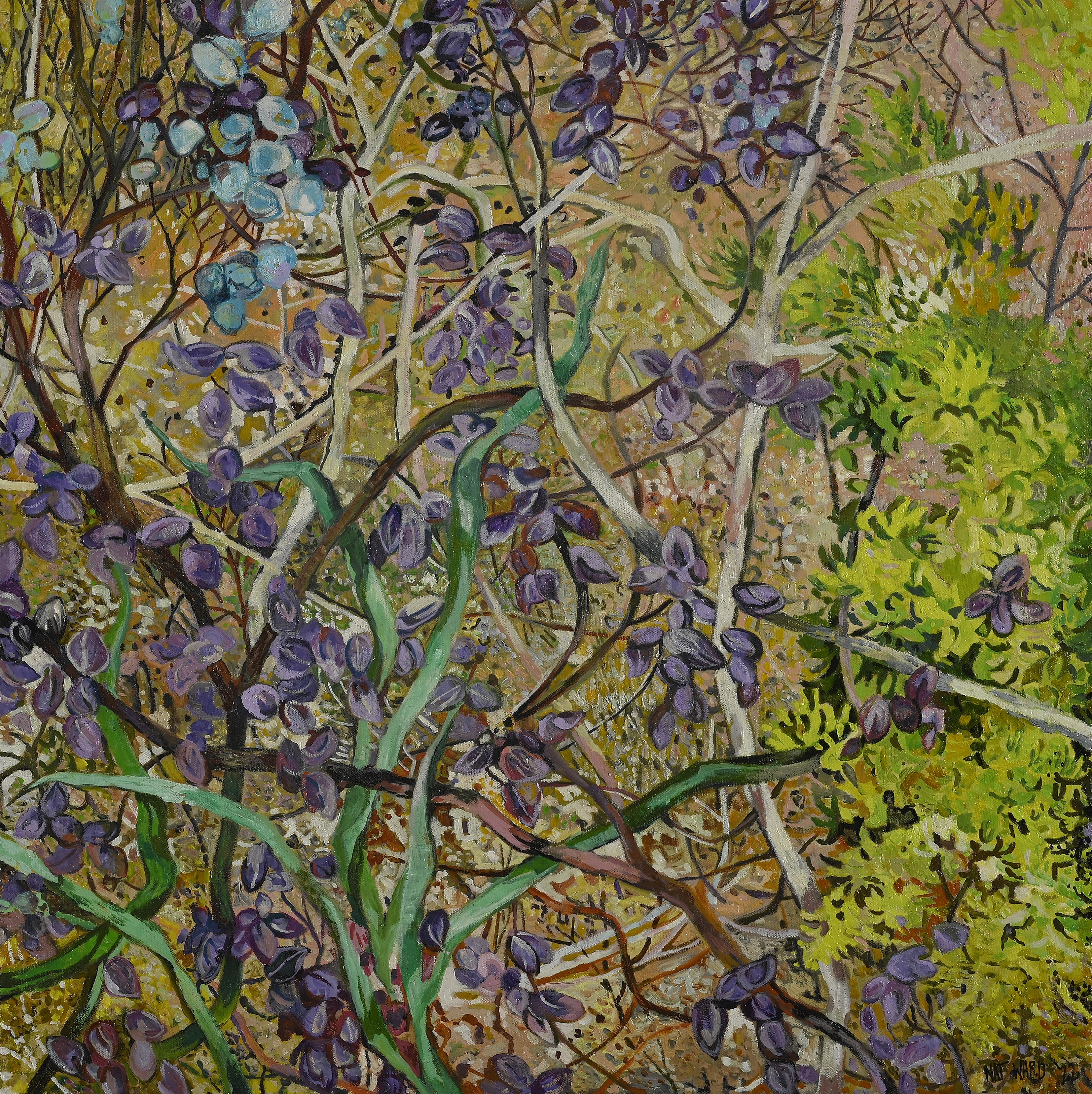 Chocolate lily buds in bushland by Nat Ward | Lethbridge 20000 2022 Finalists | Lethbridge Gallery