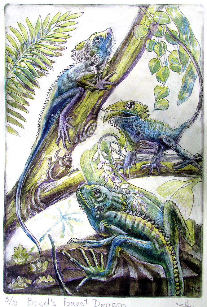 Boyd's Forest Dragon (Endemic to Queensland Rain Forest) by Margarita Iakovleva | Lethbridge 20000 2022 Finalists | Lethbridge Gallery