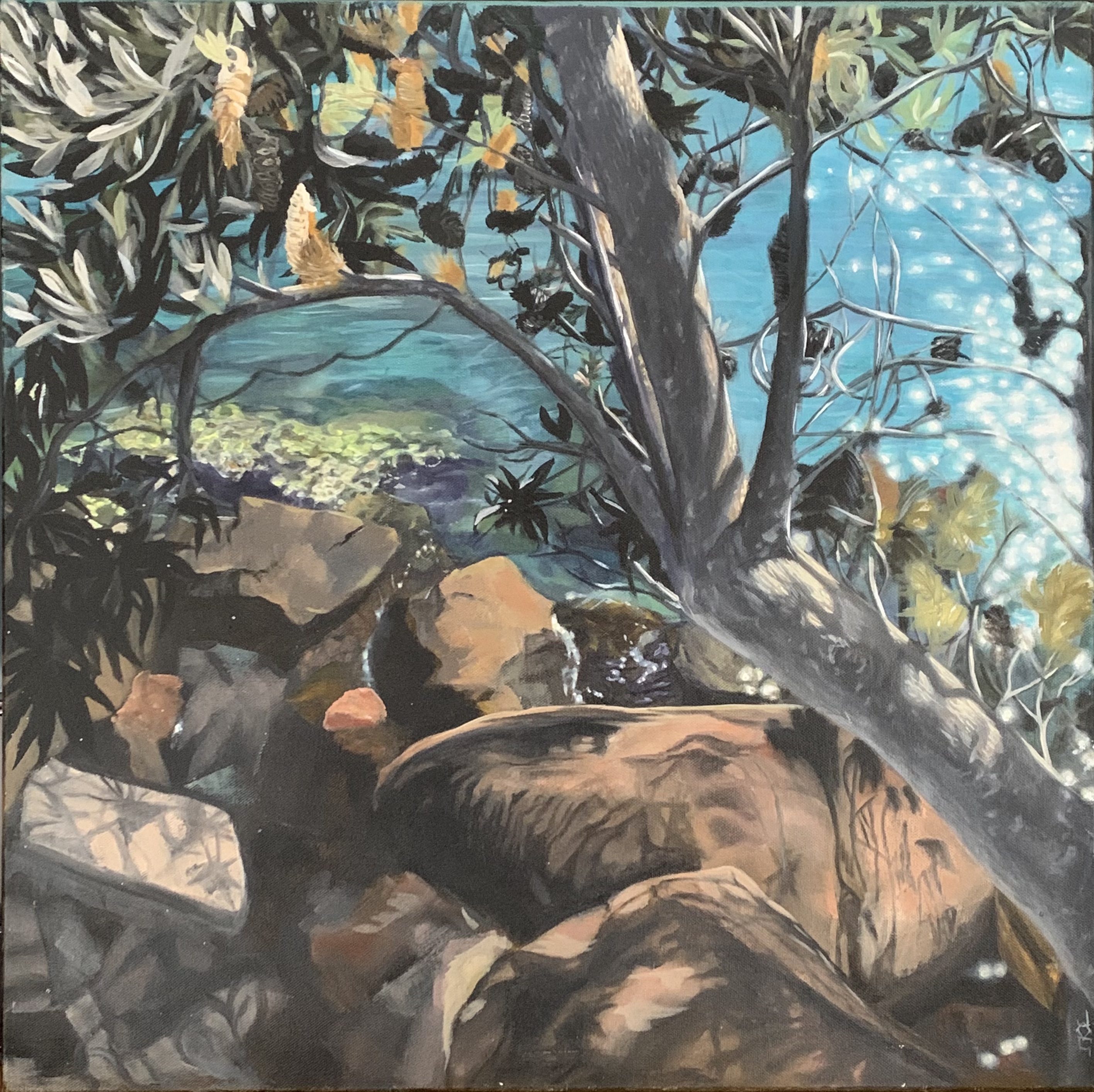 Banksia by Jacqueline O’Grady | Lethbridge 20000 2022 Finalists | Lethbridge Gallery