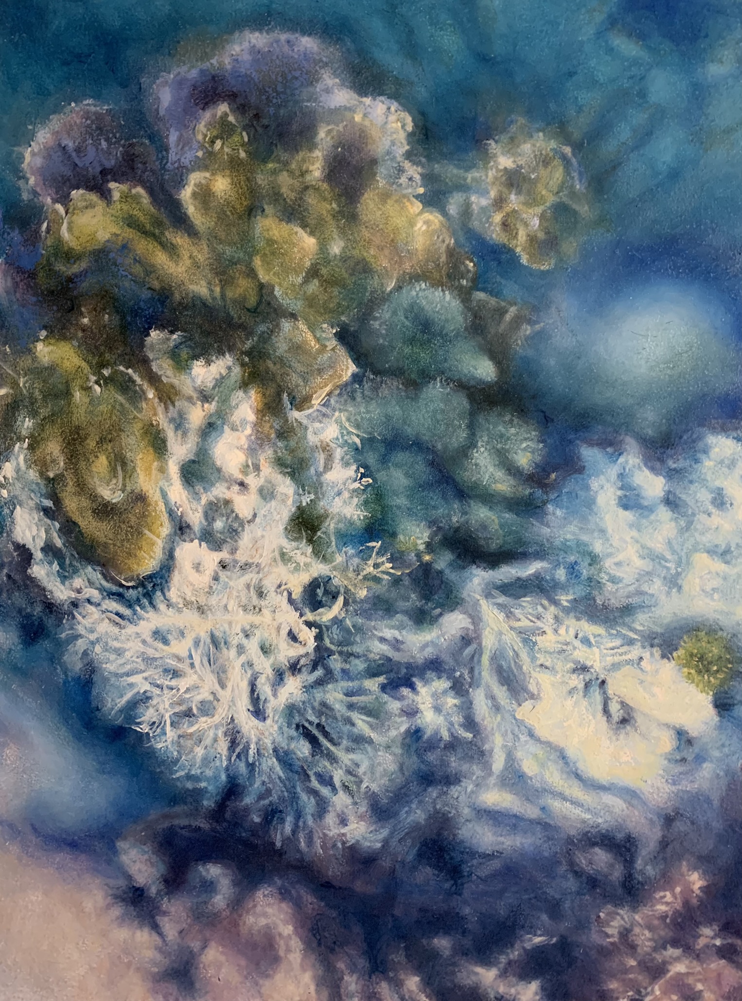 Cornucopia Coral by Janice Edwards | Lethbridge 20000 2022 Finalists | Lethbridge Gallery