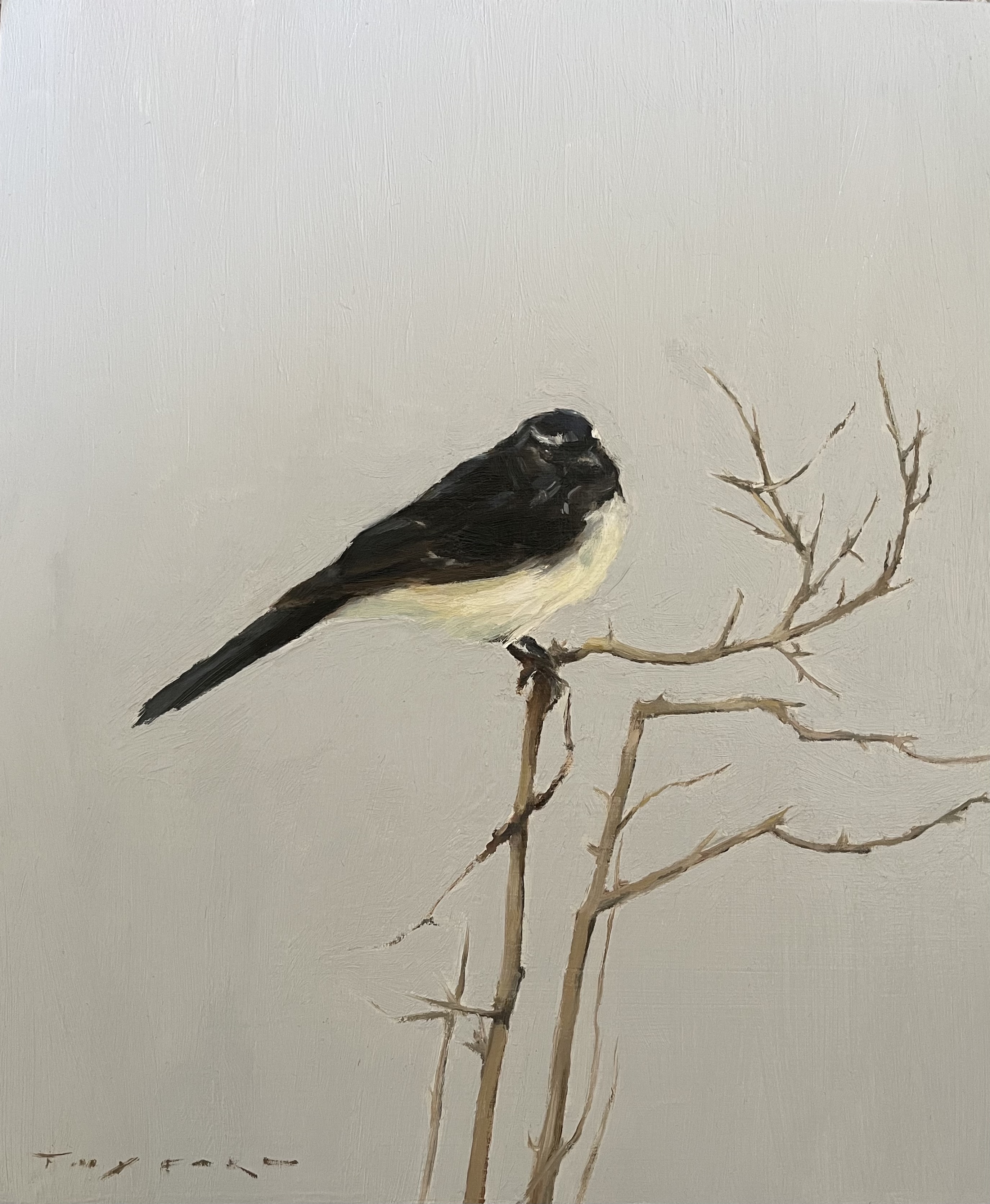 Willie Wagtail One Autumn Morning by Amanda Twyford | Lethbridge 20000 2022 Finalists | Lethbridge Gallery