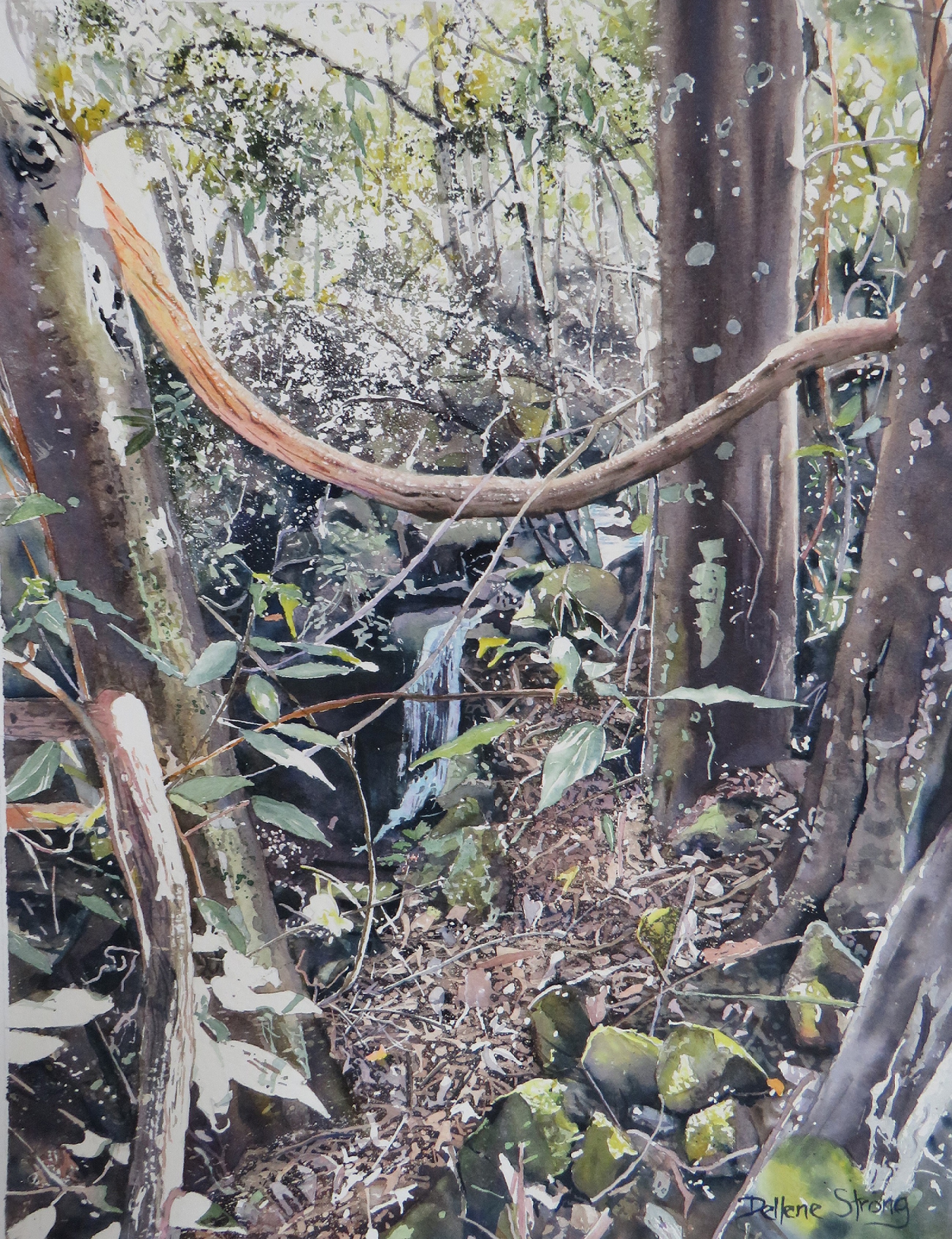 Bundara Creek II by Dellene Strong | Lethbridge 20000 2022 Finalists | Lethbridge Gallery