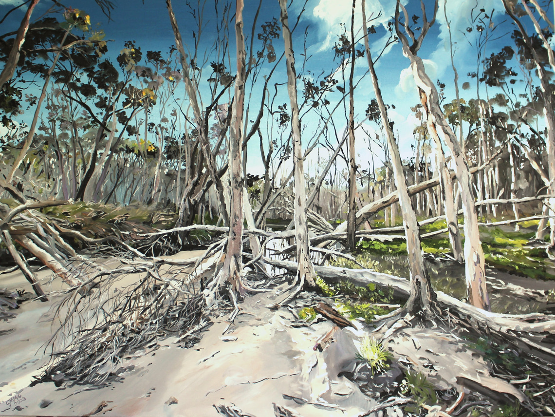 Bribie Billaong #2