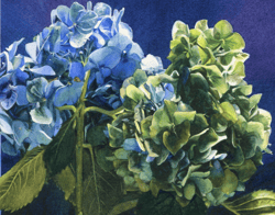 Jane Grealy | Lethbridge Gallery