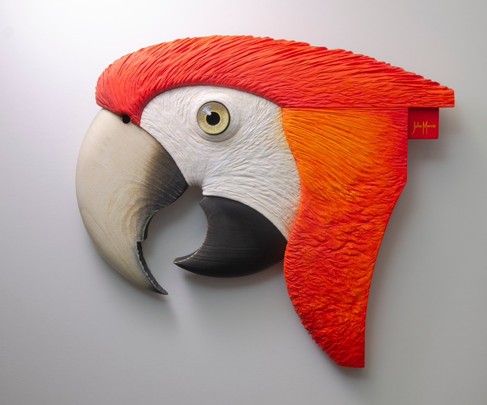 Scarlet Macaw by John Morris | Lethbridge Gallery