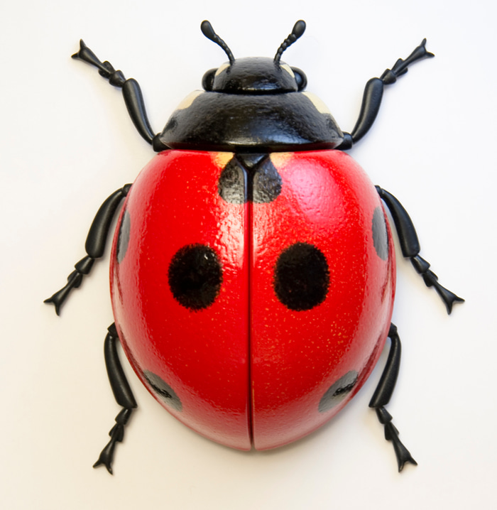 Ladybird by John Morris | Lethbridge Gallery