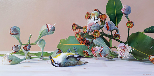 Pardalote with Gum Blossom by Lisa Christensen | Lethbridge Gallery
