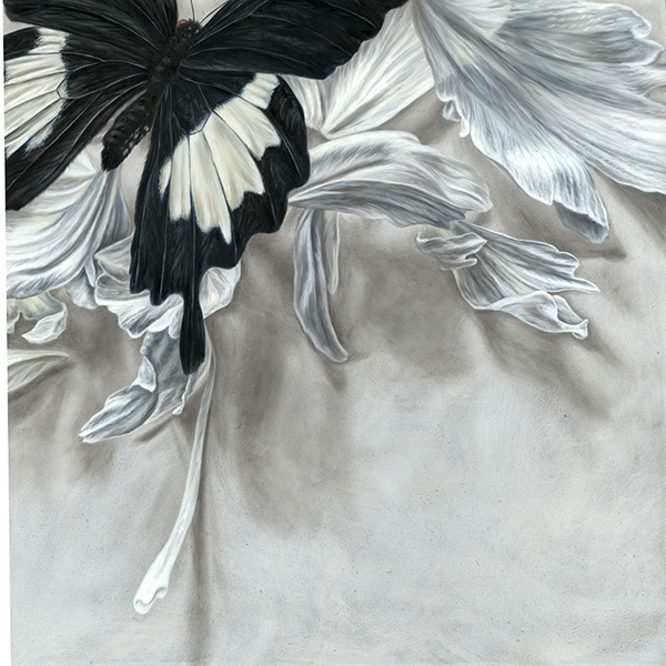 Wings and Petals No 1 by Alex Louisa | Lethbridge Gallery