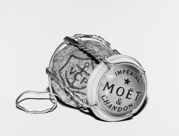 Torn Between Two Lovers by Elissa Sampson | Lethbridge Gallery