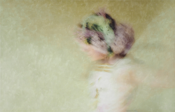 Izzy by Marisa Veerman | Lethbridge Gallery