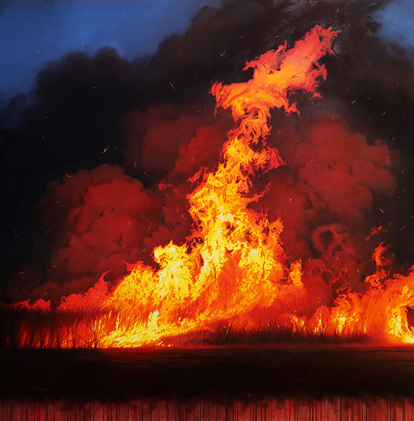 Inferno - Cane Burn, Murwillumbah NSW by Scott McDougall | Lethbridge Gallery