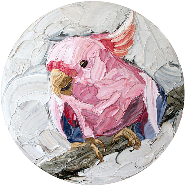 Sassy Major Mitchell Cockatoo by Jodie Wells | Lethbridge Gallery