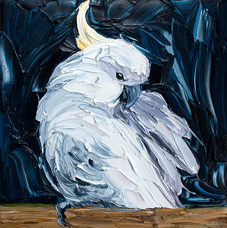 Preening Sulphur Crested Cockatoo by Jodie Wells | Lethbridge Gallery