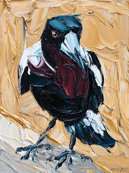 Enquiring Magpie by Jodie Wells | Lethbridge Gallery