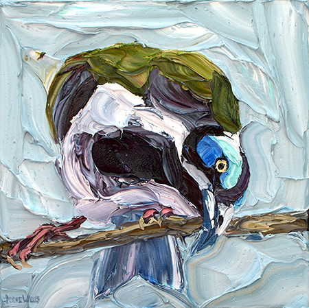 Twisting Blue Faced Honey Eater by Jodie Wells | Lethbridge Gallery