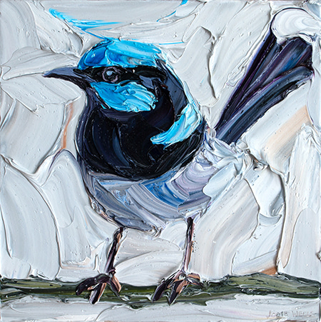 Perky Superb Fairy Wren by Jodie Wells | Lethbridge Gallery