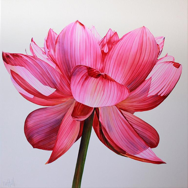 Lotus I by Pat Hall | Lethbridge Gallery