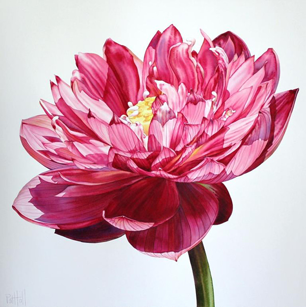 Lotus II by Pat Hall | Lethbridge Gallery