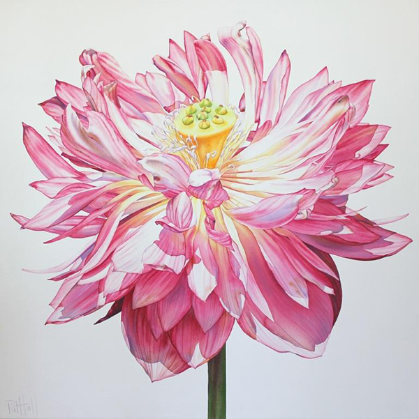 Lotus III by Pat Hall | Lethbridge Gallery