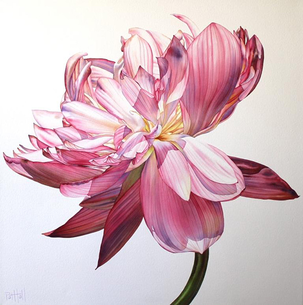 Lotus IV by Pat Hall | Lethbridge Gallery