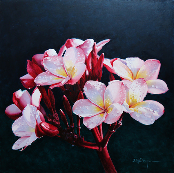 Frangipani by Scott McDougall | Lethbridge Gallery