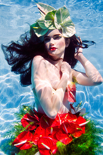 Paradise by Beth Mitchell | Lethbridge Gallery