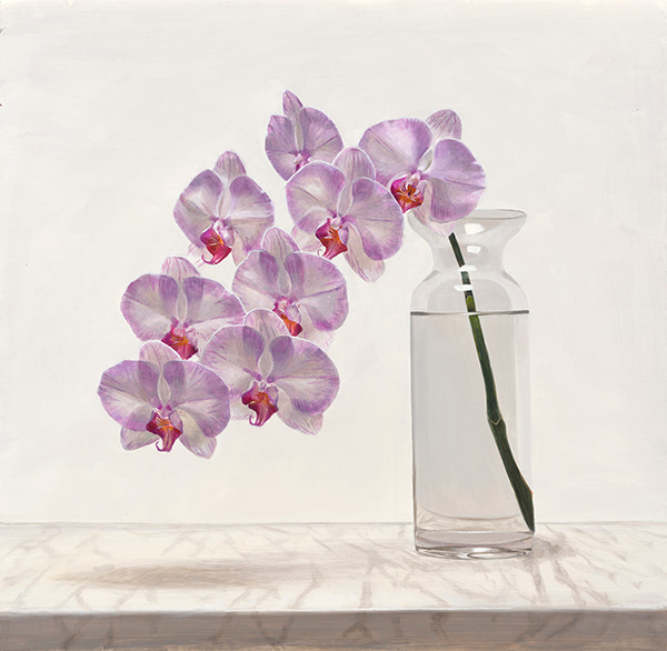 Violet Phalaenopsis Orchid by Tsering  Hannaford | Lethbridge Gallery