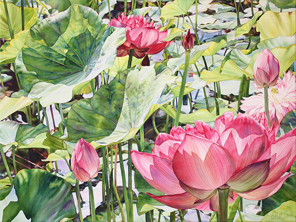 Harmony by Pat Hall | Lethbridge Gallery