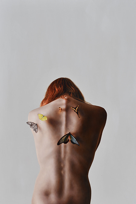 Adorn I by Bronwyn Hill | Lethbridge Gallery