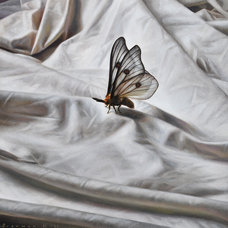 Study VII by Bronwyn Hill | Lethbridge Gallery