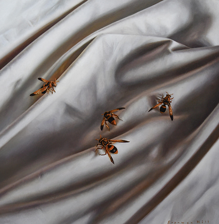 Study X by Bronwyn Hill | Lethbridge Gallery