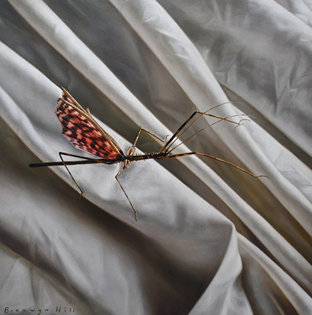 Study XI by Bronwyn Hill | Lethbridge Gallery