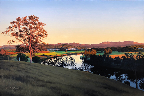 Morning Glow, Murwillumbah by Scott McDougall | Lethbridge Gallery