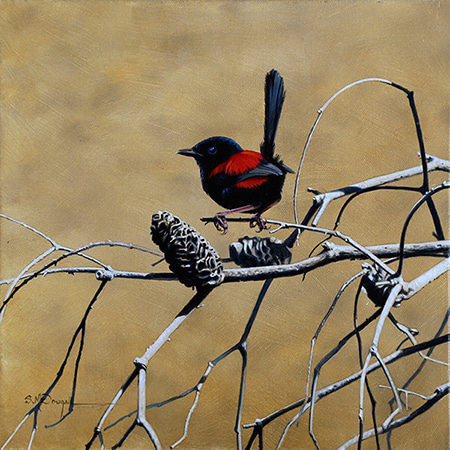Red-backed Wren by Scott McDougall | Lethbridge Gallery
