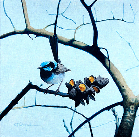 Wren and Burnt Banksia by Scott McDougall | Lethbridge Gallery