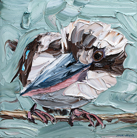Inquiring Kookaburra by Jodie Wells | Lethbridge Gallery