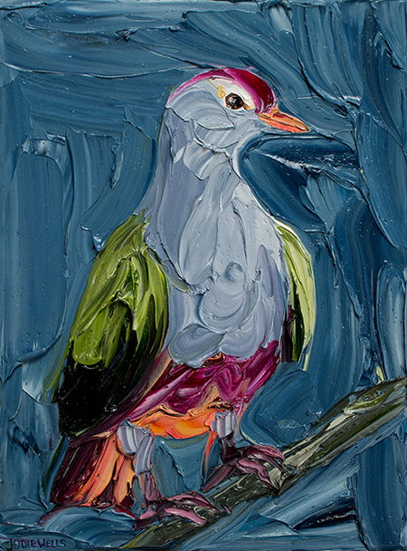 Splashy Fruit Dove by Jodie Wells | Lethbridge Gallery
