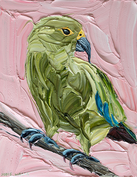 Kea at Sunset by Jodie Wells | Lethbridge Gallery