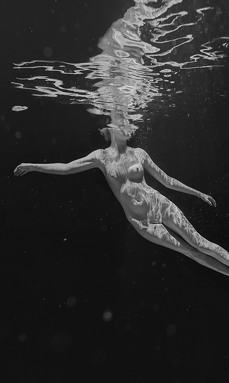 Stellar by Beth Mitchell | Lethbridge Gallery