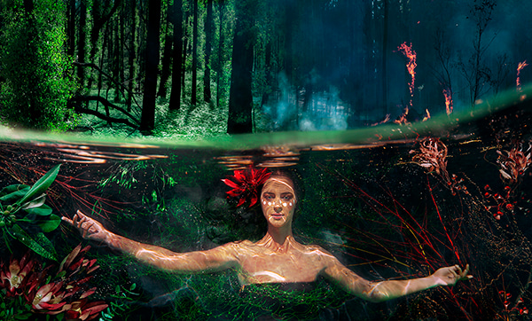 Firewater  by Beth Mitchell | Lethbridge Gallery