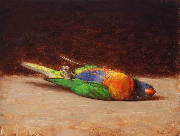 Rainbow Lorikeet by Andrew Bonneau | Lethbridge Gallery
