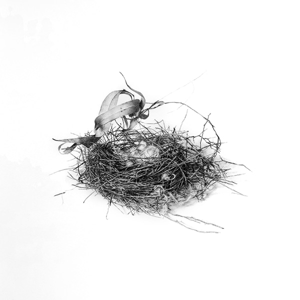 Nest by Lisa Christensen | Lethbridge Gallery