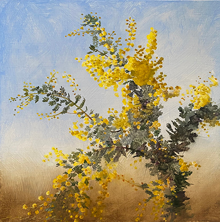 Winter Wattle by Ann Maree Clark | Lethbridge Gallery