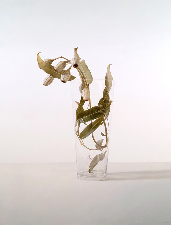 Gumnuts Glass by Lisa Christensen | Lethbridge Gallery