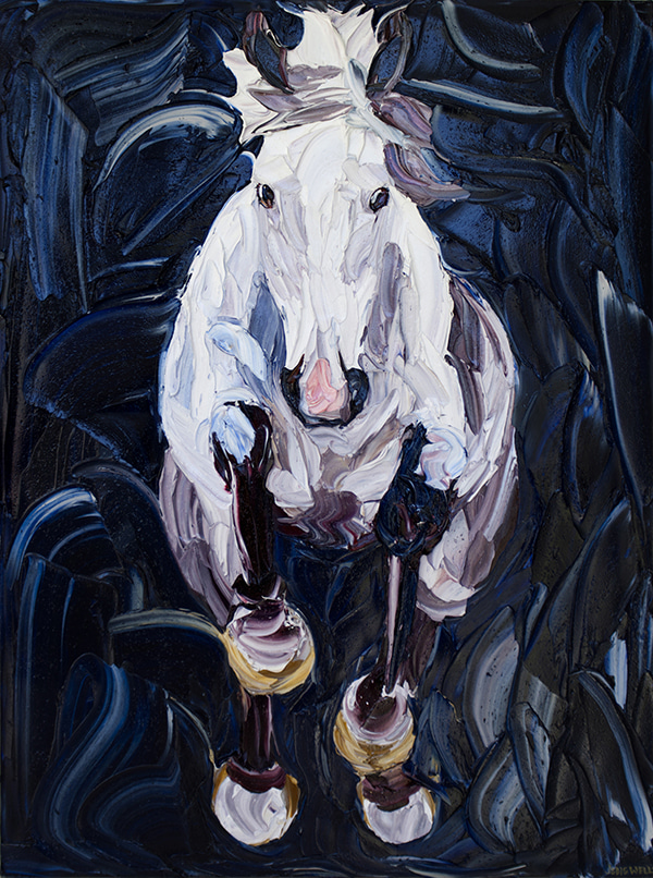 Fearless Jump Horse by Jodie Wells | Lethbridge Gallery