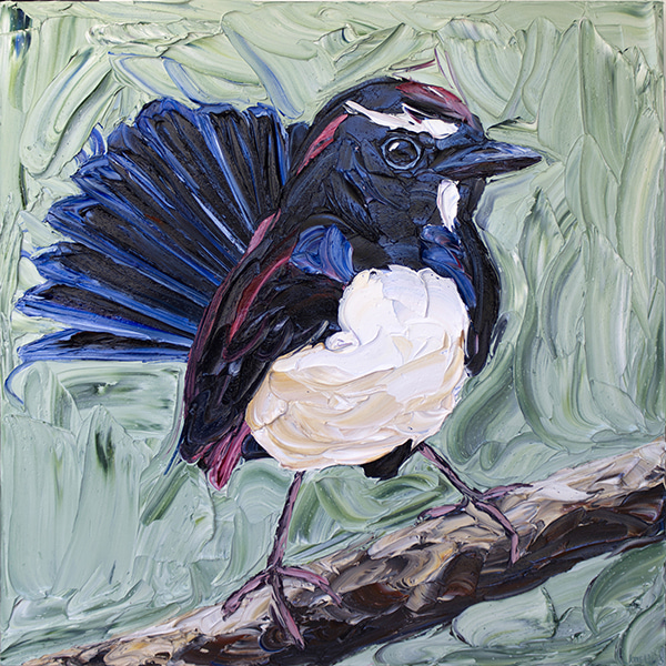 Forest Branch Willy Wagtail by Jodie Wells | Lethbridge Gallery