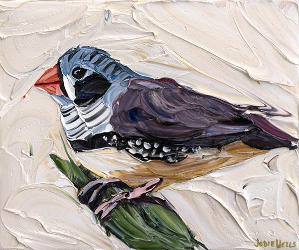 Gleaming Zebra Finch by Jodie Wells | Lethbridge Gallery
