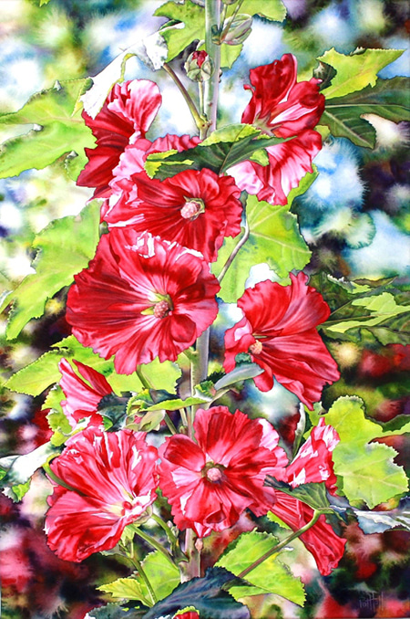 Hollyhocks by Pat Hall | Lethbridge Gallery